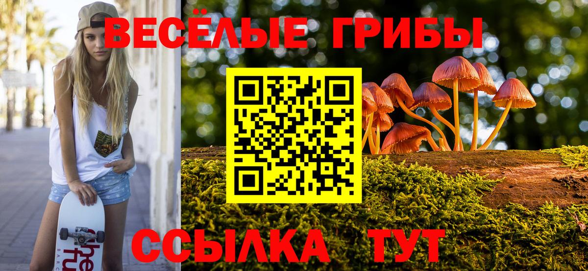 Сосновый Бор  Галлюциногенные грибы Magic Shrooms  Вход с VPN 